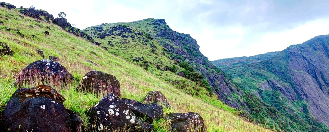 Pushpagiri Wildlife Sanctuary